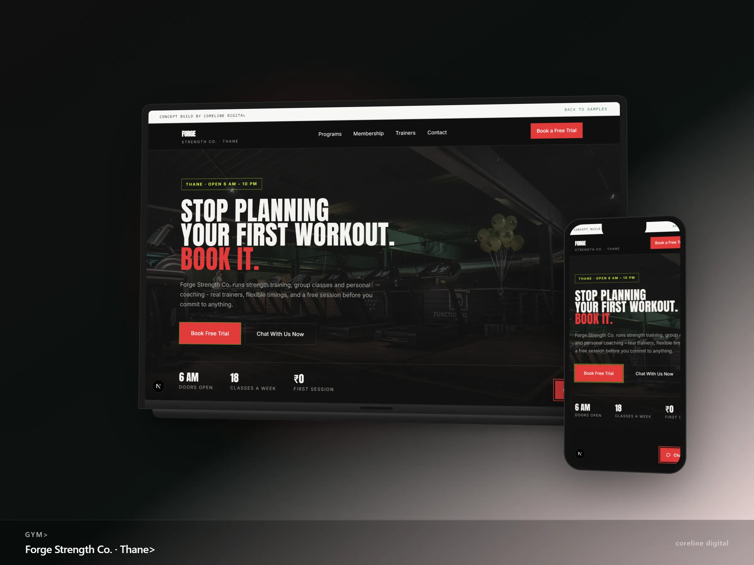A neighbourhood gym - Gyms demo site